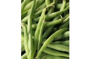 Кукуруза и стручковая фасоль
