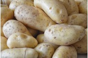 Картофель